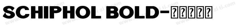 Schiphol Bold字体转换